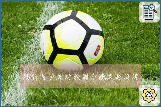 杨行与卢岩对抗周小巍及赵海涛