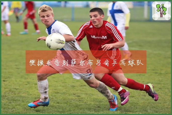 樊振东告别萨尔布吕肯乒乓球队