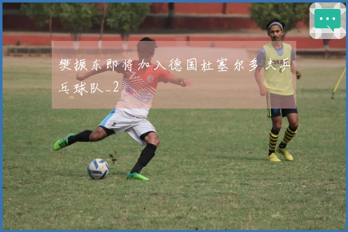 樊振东即将加入德国杜塞尔多夫乒乓球队_2