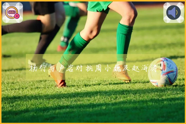 杨行与卢岩对抗周小巍及赵海涛